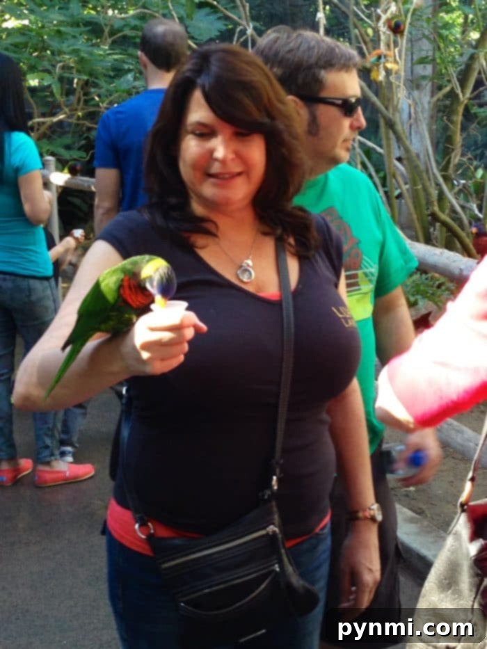 A family feeding lorikeets, showcasing the interactive animal experiences available at San Diego Wild Animal Park.