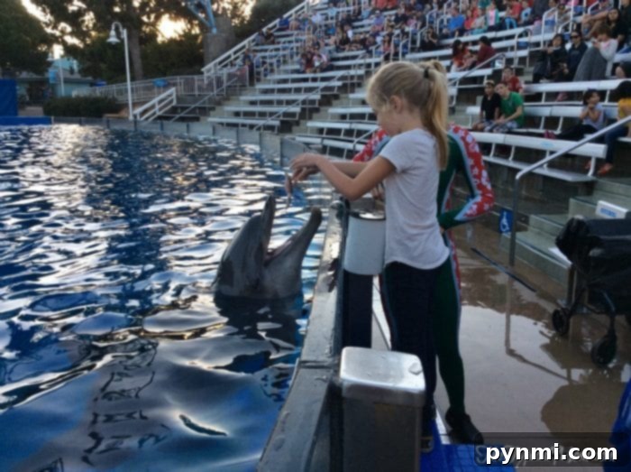 SeaWorld Preschool Pass 2022 Registration for children 3-5 years old. Smiling children enjoying their day at SeaWorld