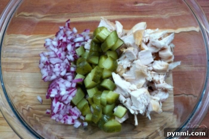 Mastering Onions A Guide to Every Type 4 Easy Chicken Salad Sandwich with Red Onion