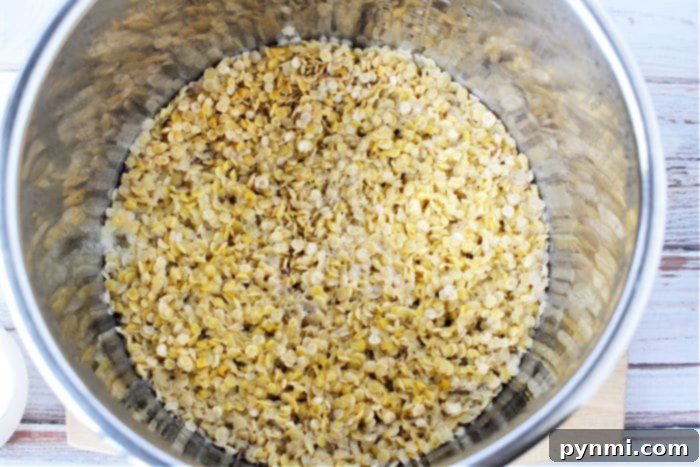 Pressure cooker lentils cooking with herbs.