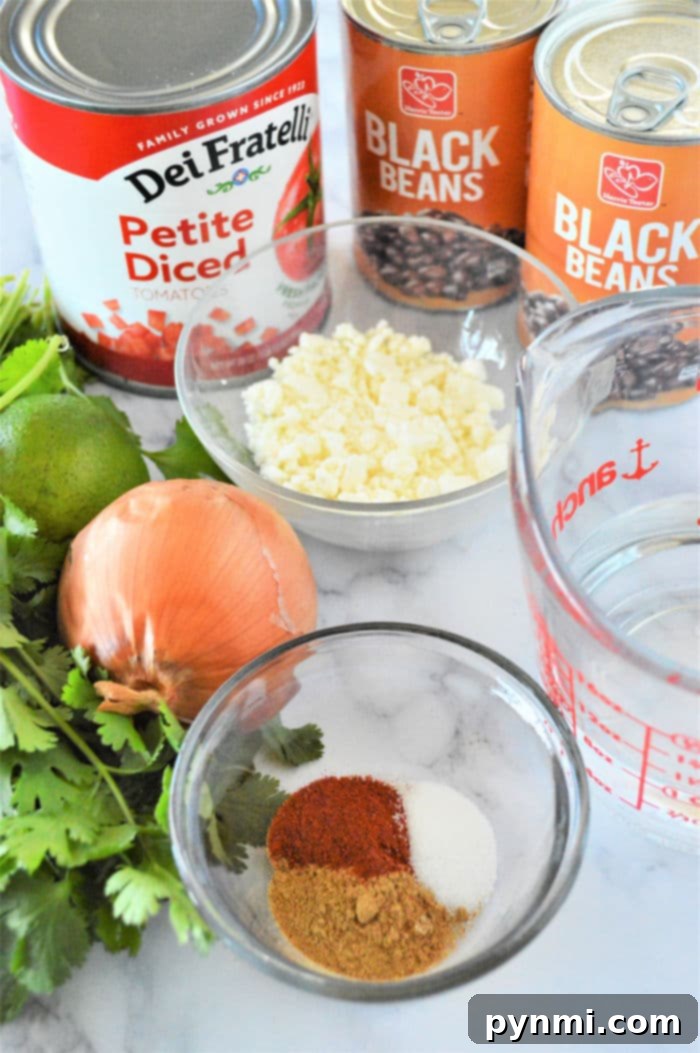 Quick Instant Pot Black Bean Soup 4 pressure cooker Black Bean Soup