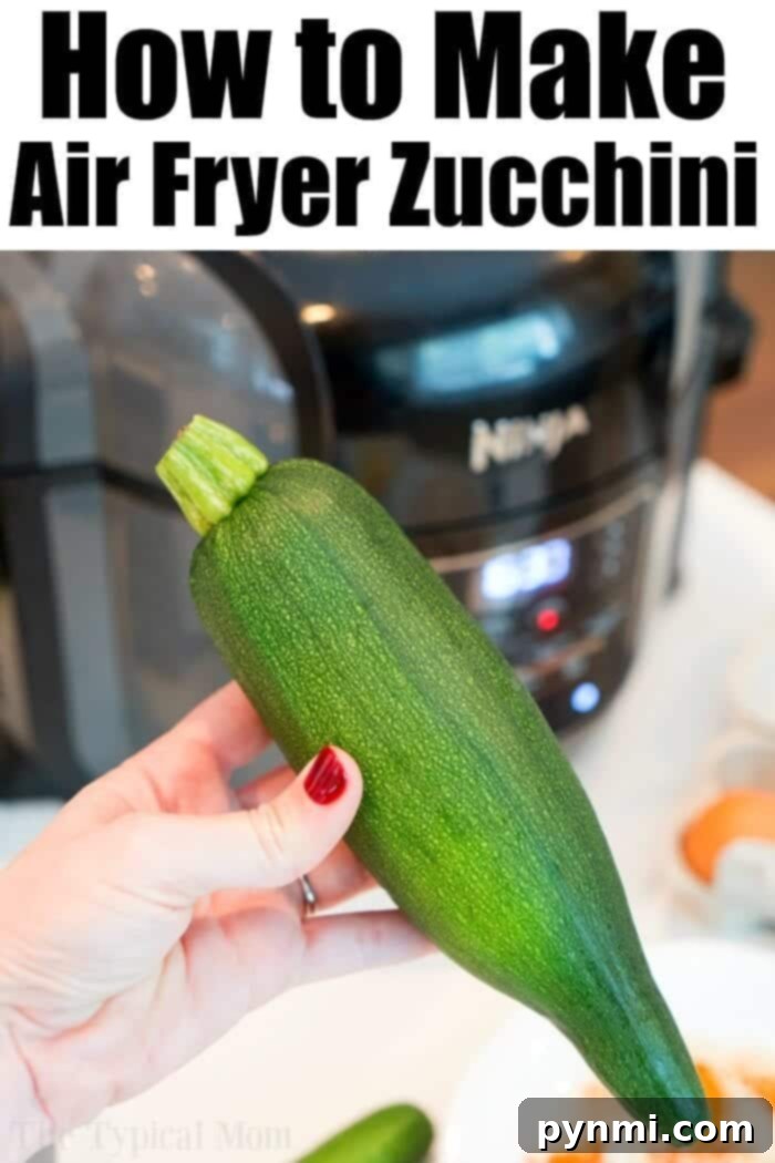 Crispy Air Fryer Zucchini Delights 3 Air-fried zucchini slices ready to eat as a healthy snack or side dish.