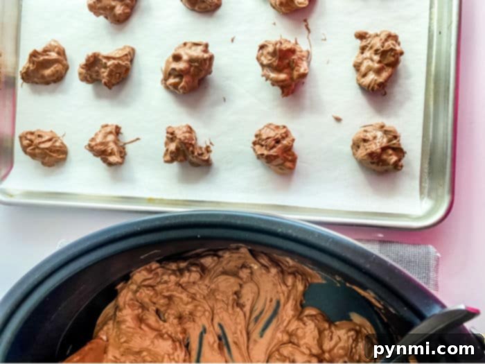 Luscious Slow Cooker Chocolate Nut Bites 7 Various slow cooker chocolate candy clusters with nuts on a white background
