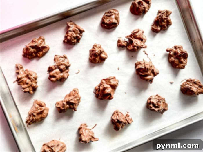 Luscious Slow Cooker Chocolate Nut Bites 8 Finished Crockpot Chocolate Candy recipe clusters with pretzels and nuts