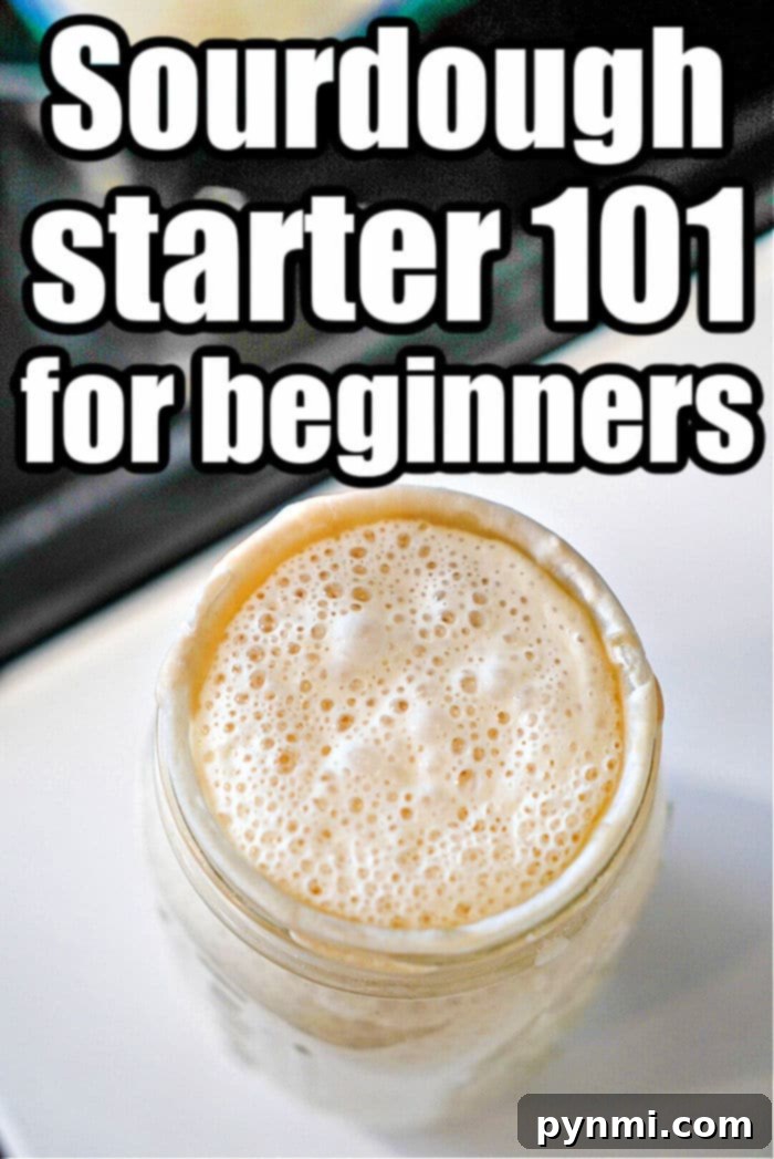 Crafting Sourdough Starter from All Purpose Flour 2 How to Make Sourdough Starter From Scratch