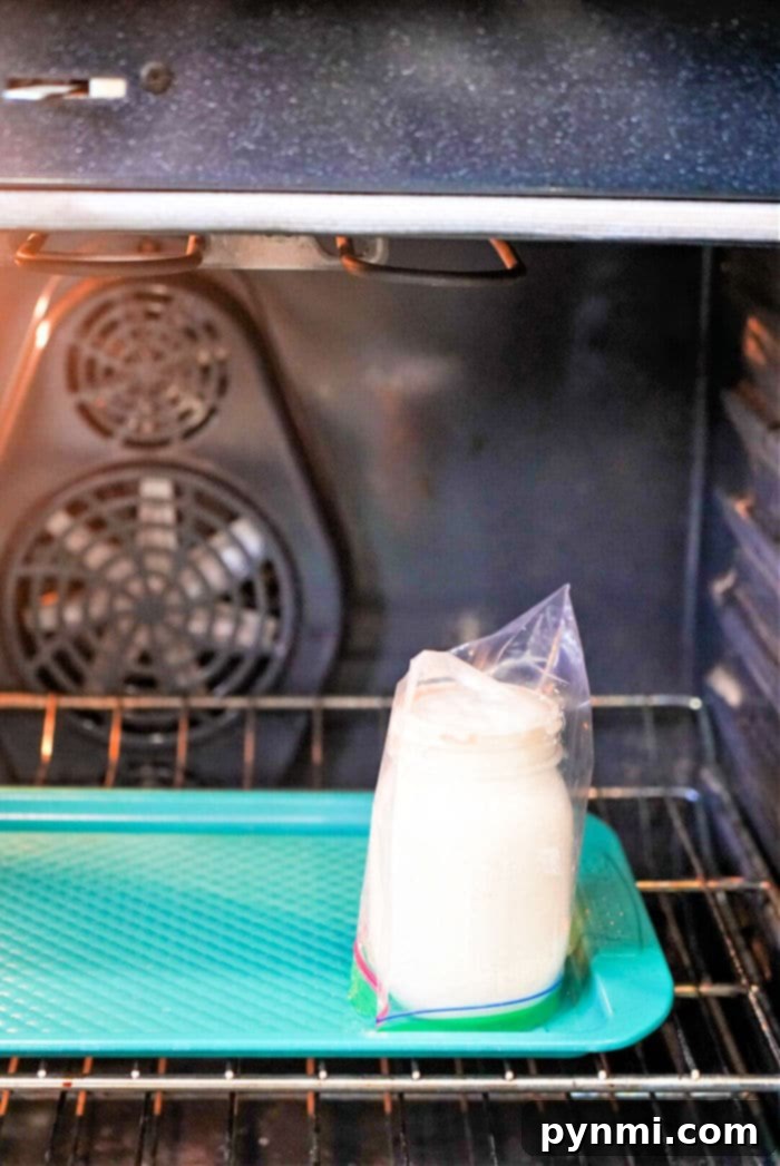 Crafting Sourdough Starter from All Purpose Flour 6 A glass jar sits in a plastic bag on a tray inside an oven, with a fan visible in the back. Perfect for those learning how to make sourdough starter from scratch, this method maintains just the right environment for your homemade fermentation journey.