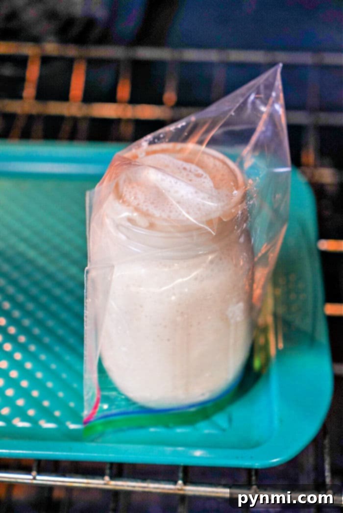 Crafting Sourdough Starter from All Purpose Flour 8 A jar with bubbling liquid sits in a plastic bag on a teal tray in the oven, reminiscent of a crucial step when learning how to make sourdough starter from scratch.
