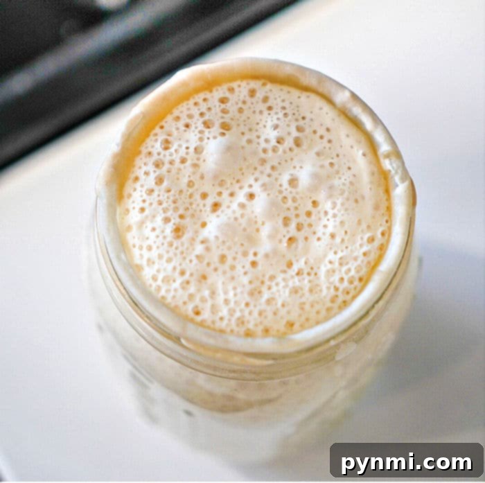 Crafting Sourdough Starter from All Purpose Flour 9 Sourdough Starter
