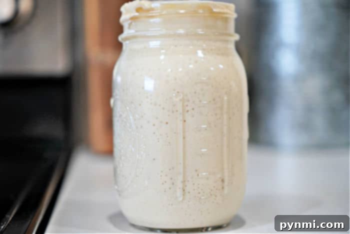 Crafting Sourdough Starter from All Purpose Flour 10 A glass jar filled with creamy, light beige sourdough starter, reminiscent of the process of how to make sourdough starter from scratch, sits elegantly on a kitchen counter.