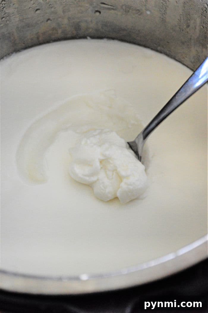 yogurt ninja foodi