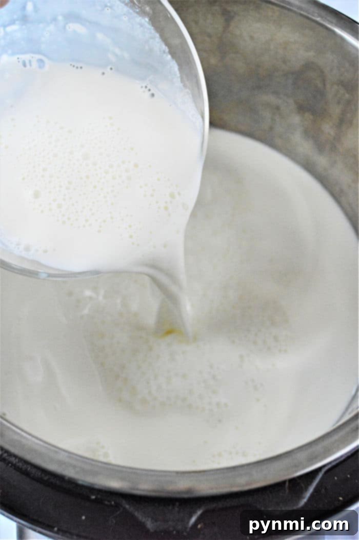 ninja foodi yogurt