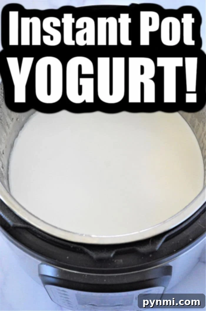 pressure cooker yogurt recipe