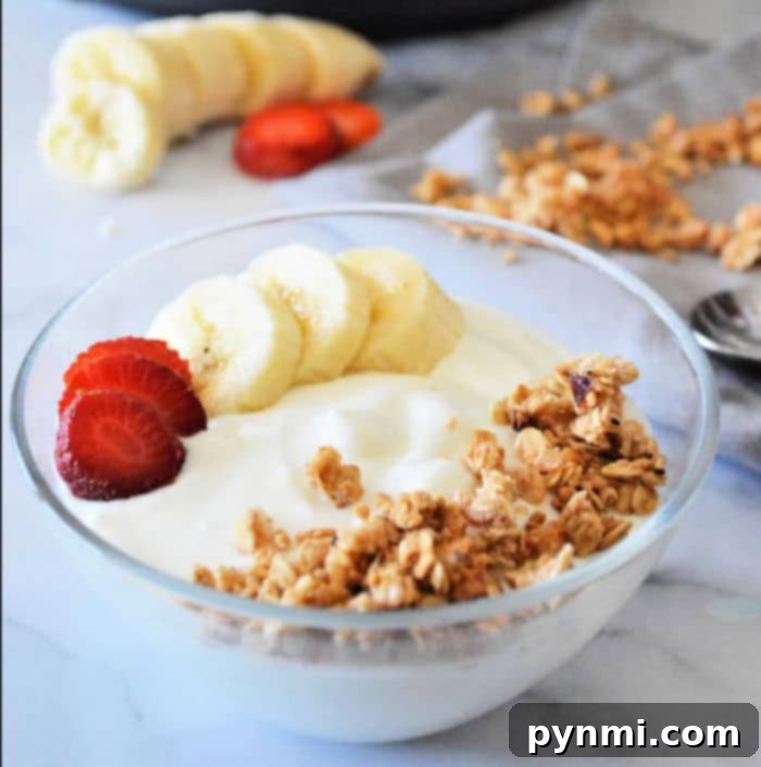 ninja foodi yogurt