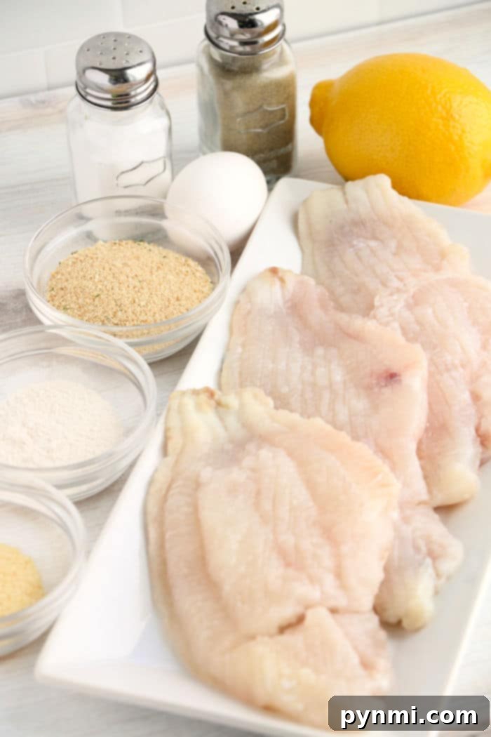 Crispy Air Fryer Catfish Without Cornmeal 4 catfish fillets ready for air frying