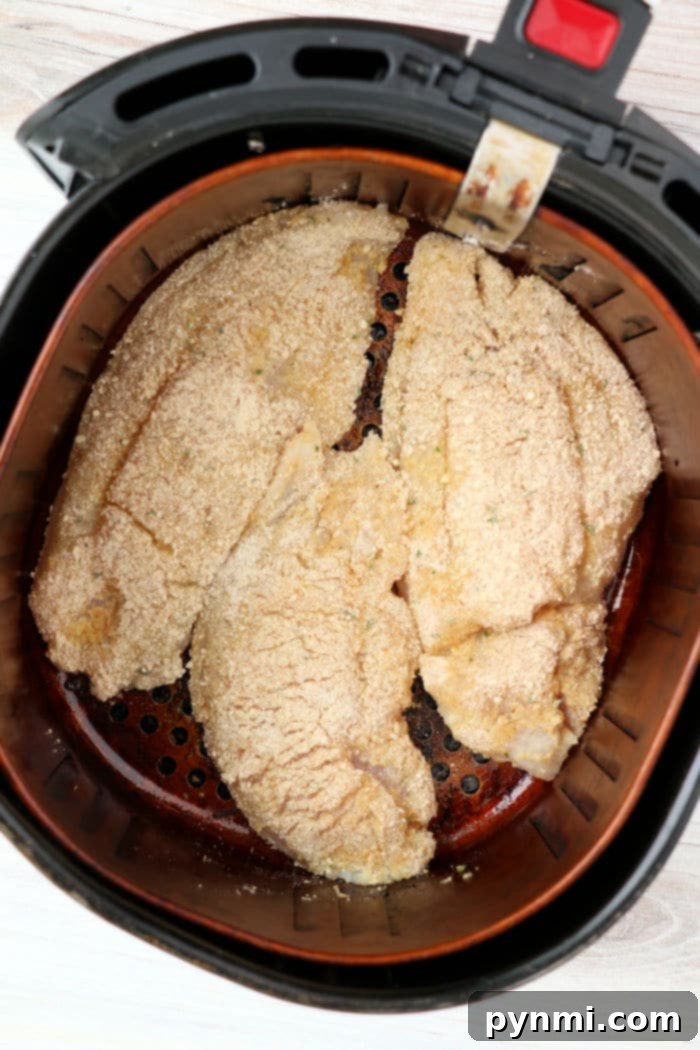 Crispy Air Fryer Catfish Without Cornmeal 8 close up of crispy air fried catfish