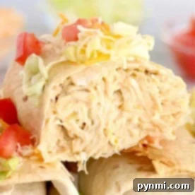 Close-up of air fryer chimichangas filled with shredded chicken, topped with melted cheese, fresh lettuce, and diced tomatoes.