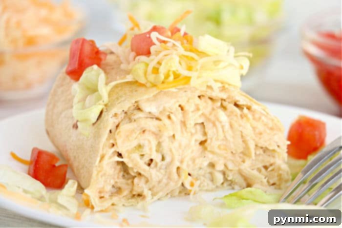 Freshly air-fried burritos, garnished with sour cream, fresh cilantro, and a sprinkle of diced tomatoes.