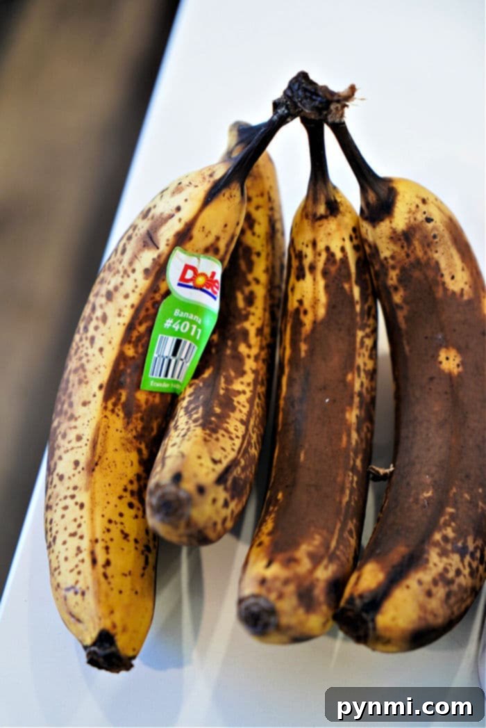 A cluster of perfectly overripe bananas with brown spots, ideal for banana bread.