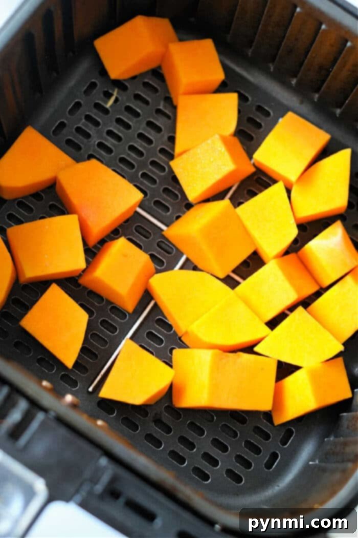 Golden Air-Fried Butternut Squash 4 Air fryer butternut squash cubes sit in the basket, perfectly prepped and ready to roast.
