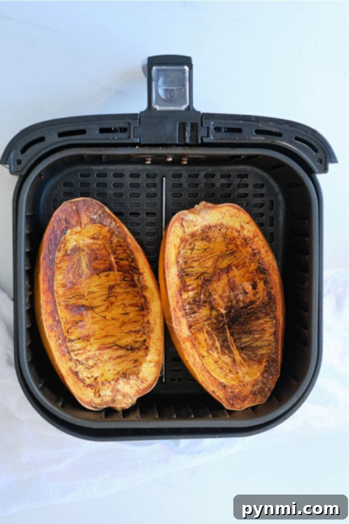 Perfectly Roasted Air Fryer Spaghetti Squash 5 A serving of air fryer spaghetti squash, showing the noodle-like strands, ready to be dressed.