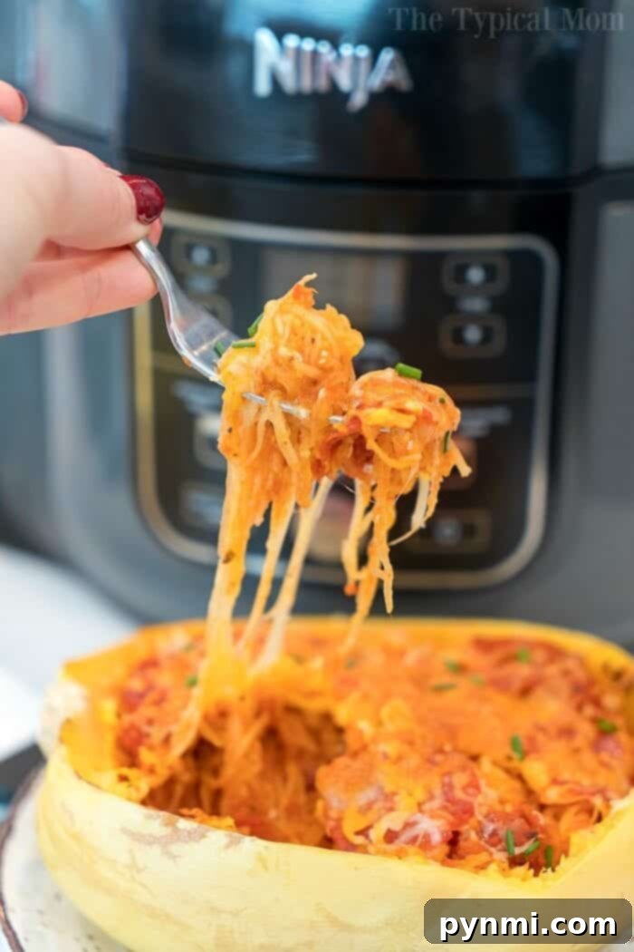 Perfectly Roasted Air Fryer Spaghetti Squash 6 A stuffed spaghetti squash half, topped with pizza ingredients, cooked in an air fryer.