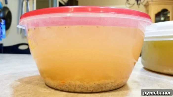 Chicken Broth Explained 5 homemade chicken broth