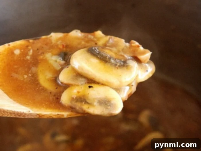 Mushroom Gravy Recipe