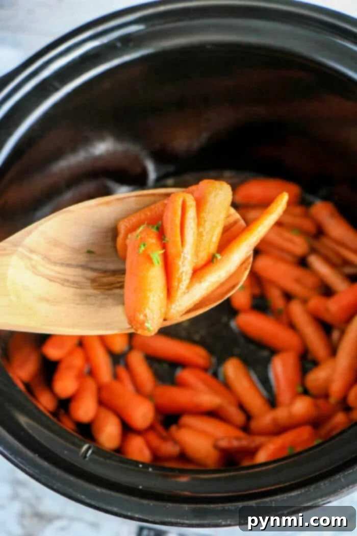 Effortless Crockpot Carrots 2 In the cozy embrace of a crockpot, baby carrots simmer to perfection. A wooden spoon lifts the tender morsels, celebrating a simple yet delectable creation.