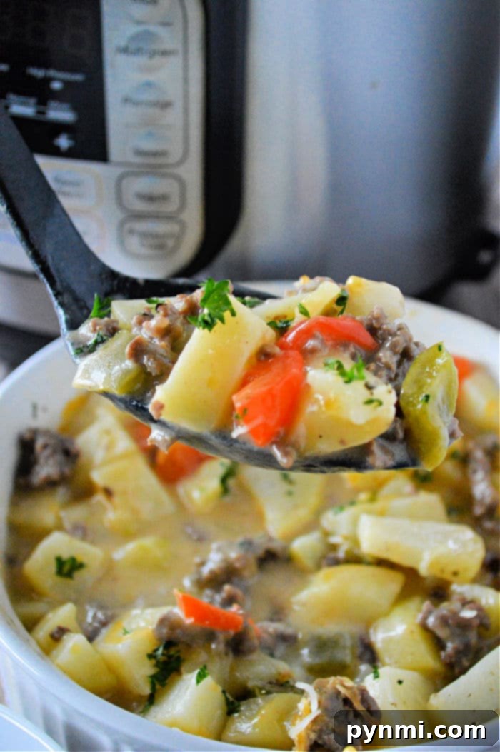 Hearty Instant Pot Ground Beef and Potatoes 7 Close-up of hearty beef and potatoes in a bowl, showcasing the creamy sauce and tender ingredients.