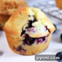 Blueberry Muffins