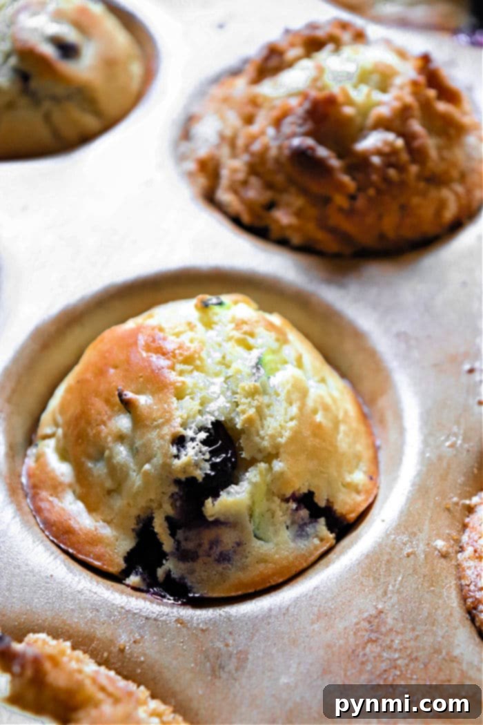 Close-up of a single blueberry zucchini muffin on a plate, showing its moist interior and fruit.