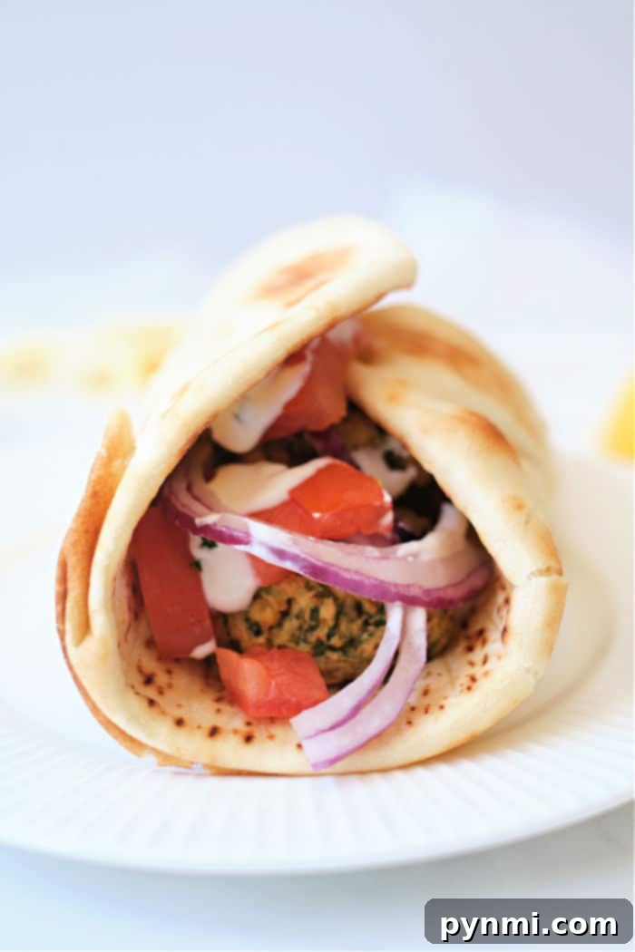 Golden Crispy Air Fryer Falafel 2 Air Fryer Falafel