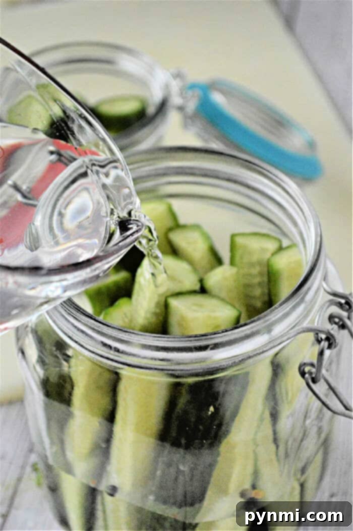 Crafting Crisp Dill Pickles at Home 2 Two jars of homemade no-boil dill pickles with fresh dill sprigs and spices