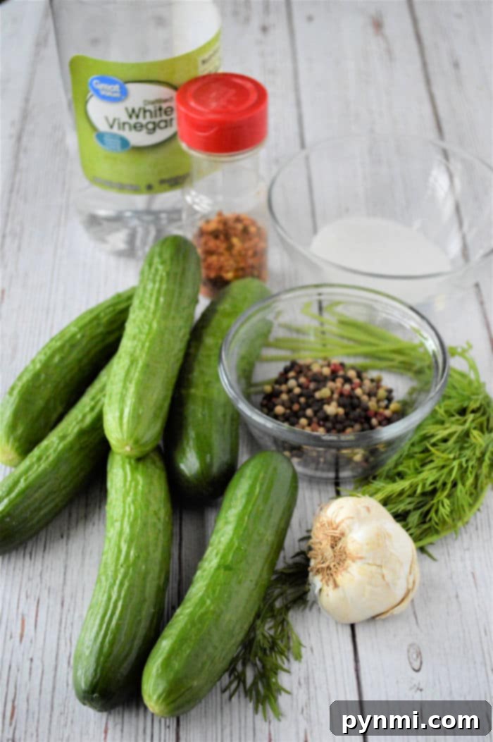 Crafting Crisp Dill Pickles at Home 3 Close-up of fresh mini cucumbers ready for pickling