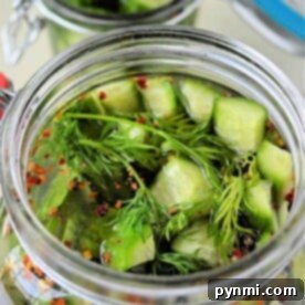 Discover how to make pickles at home with this delightful duo: two jars filled with crisp cucumber pickles, fresh dill, and aromatic spices.