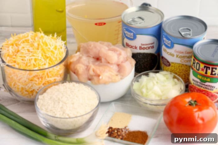 Instant Pot Mexican Fiesta Chicken and Rice 4 Close-up of Instant Pot Mexican chicken and rice, showcasing the vibrant colors and textures of the dish.