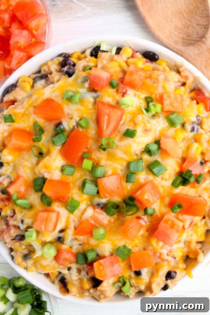 Instant Pot Mexican Fiesta Chicken and Rice 9 A close-up of a serving of Instant Pot Mexican Chicken and Rice recipe, topped with melted cheese and fresh herbs, ready to be eaten.