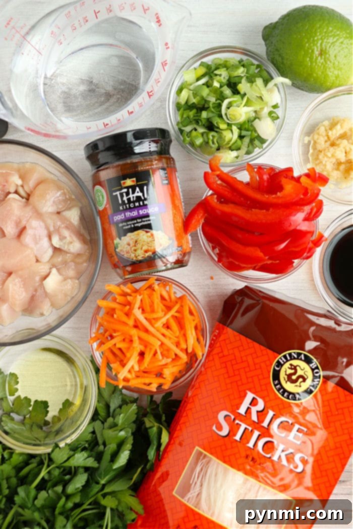 Speedy Instant Pot Pad Thai 3 Variety of fresh Pad Thai ingredients laid out