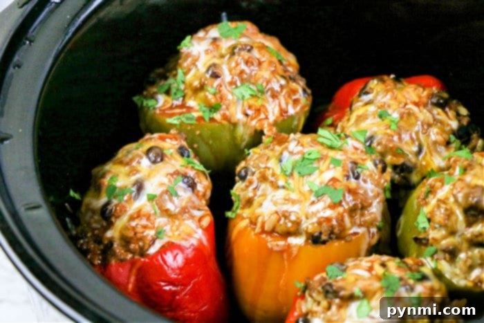 Effortless Slow Cooker Stuffed Bell Peppers 6 Slow cooker filled with perfectly cooked stuffed peppers, ready to serve.