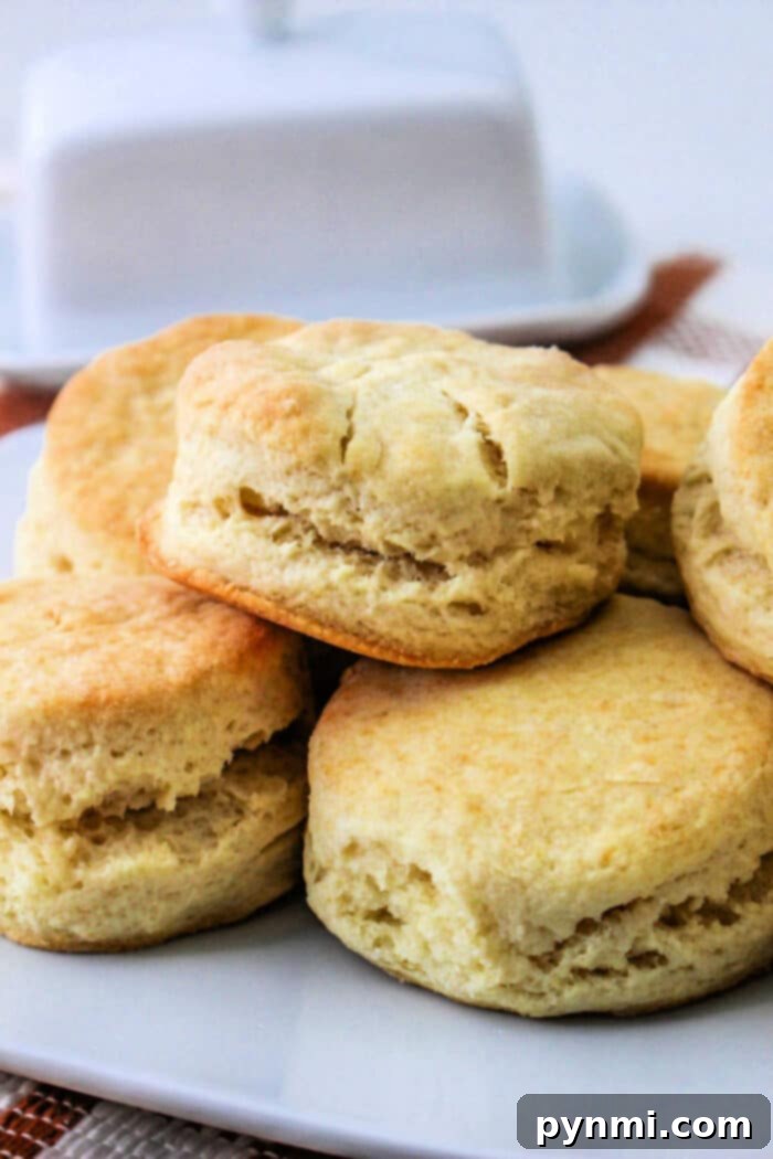 A plate of freshly baked air fryer biscuits stacked on top of each other. The golden brown biscuits boast a soft, fluffy texture. A butter dish is blurred in the background.