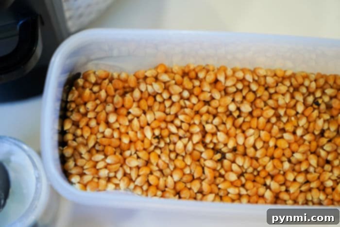 popcorn kernels