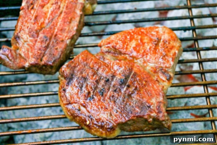 grilled steak with charcoal