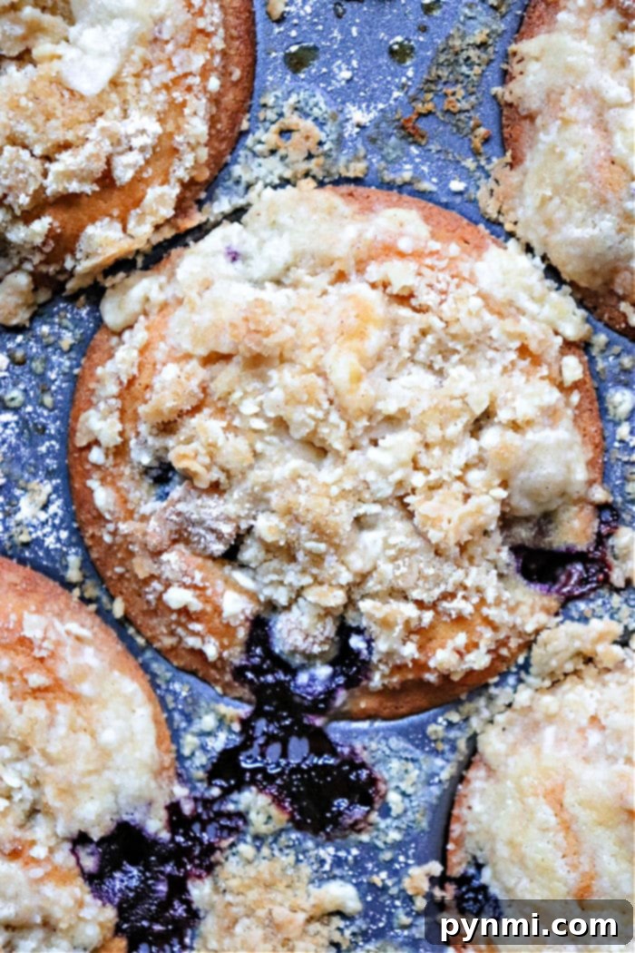 Irresistible Muffin Streusel 2 Crumb Topping for Muffins