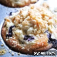 A close-up of blueberry muffin tops adorned with a crumbly finish rests invitingly in a metal baking tray, showcasing visible blueberries.