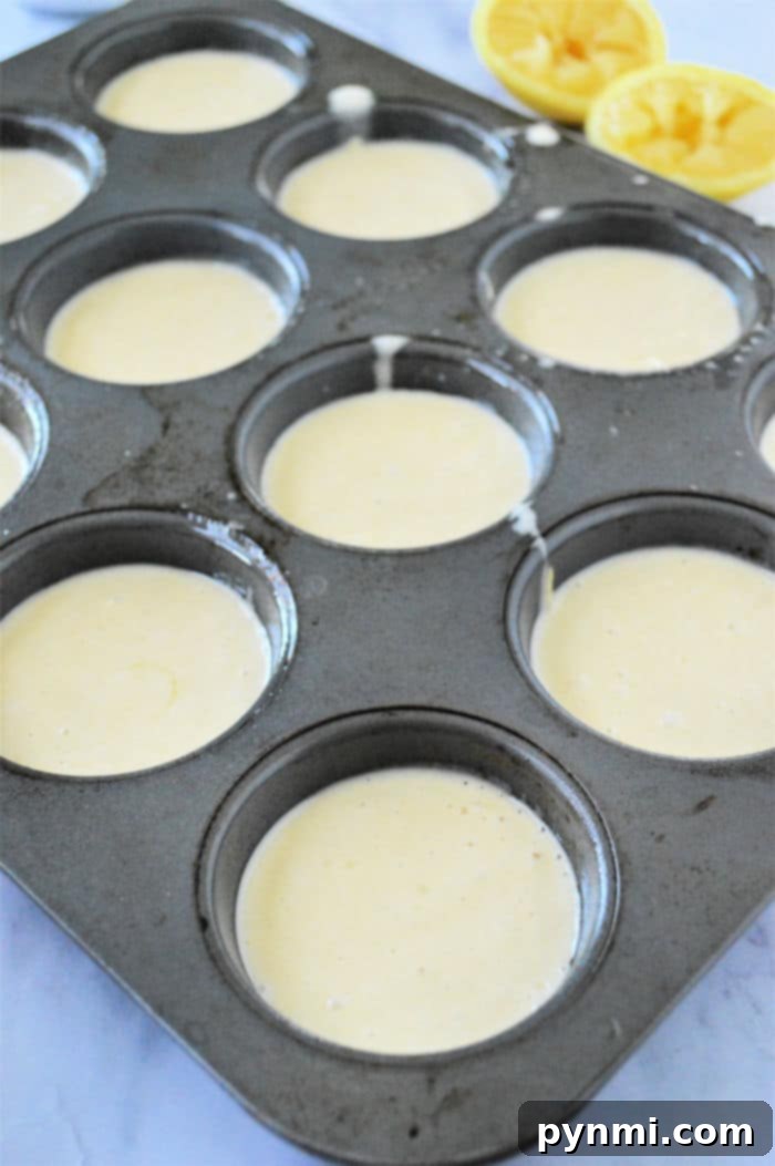 Fluffy Bisquick Muffins in Minutes 6 bisquick lemon muffins