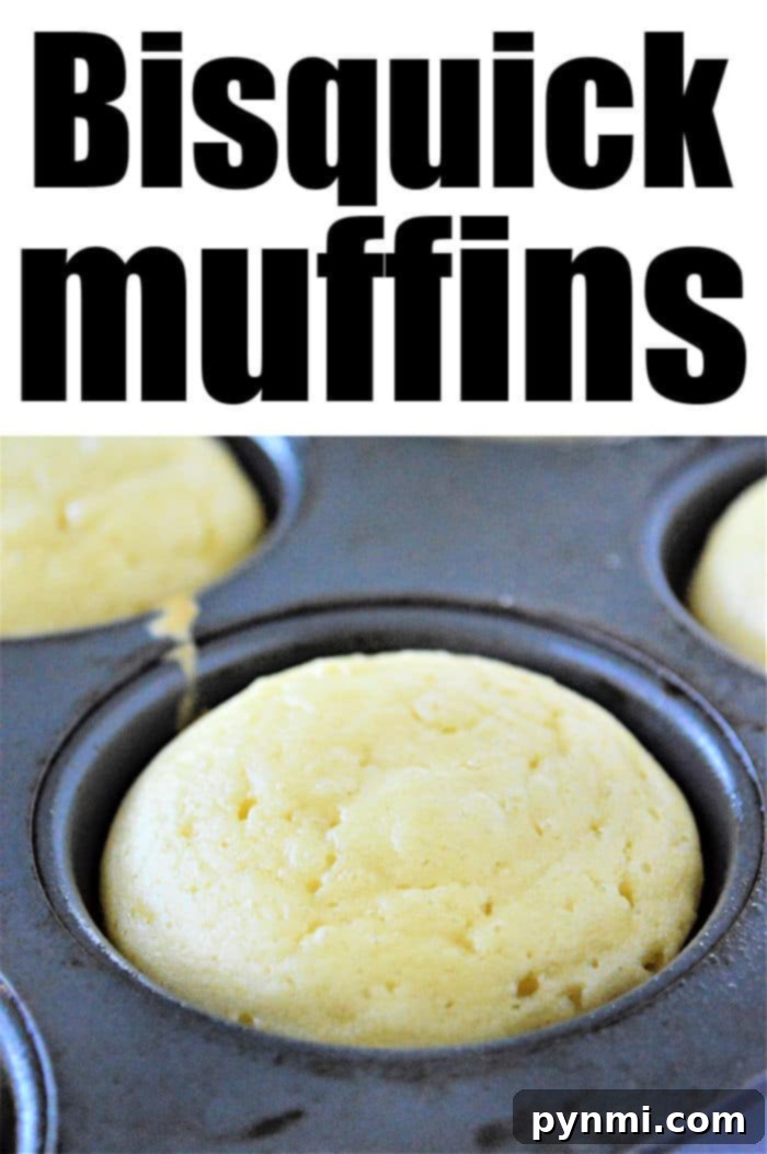Fluffy Bisquick Muffins in Minutes 7 Bisquick breakfast Muffins