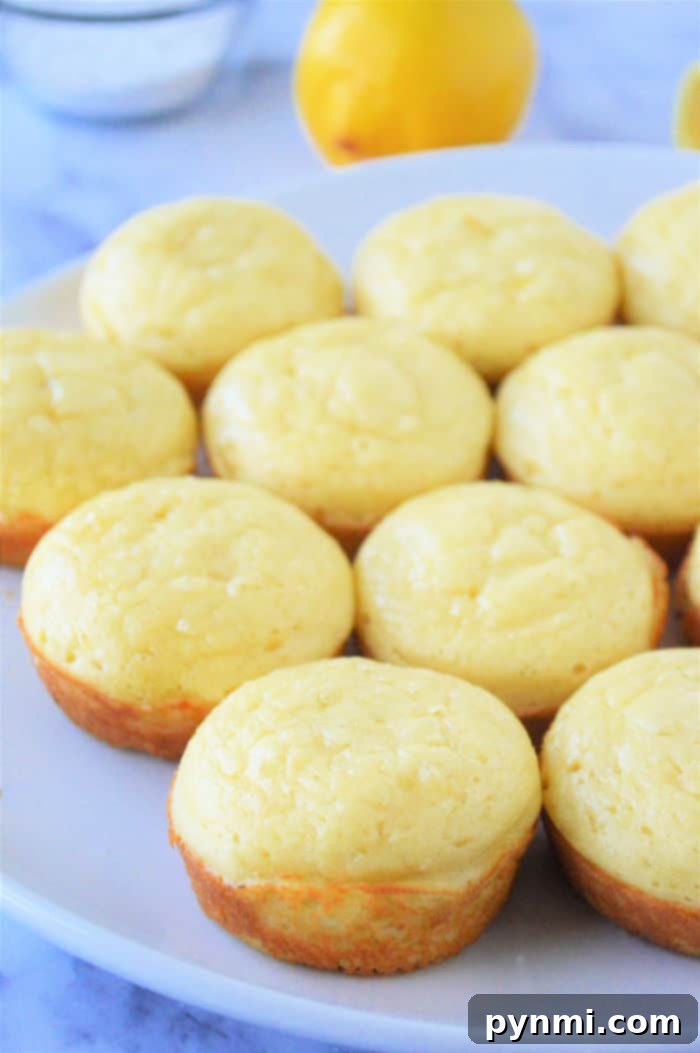 Fluffy Bisquick Muffins in Minutes 8 muffins made with bisquick