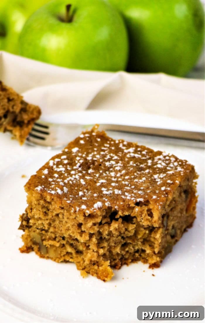 Autumn Spiced Apple Cake 2 Delicious Applesauce Spice Cake with warm fall colors