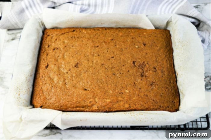 Autumn Spiced Apple Cake 7 Best Applesauce Cake with a golden crust