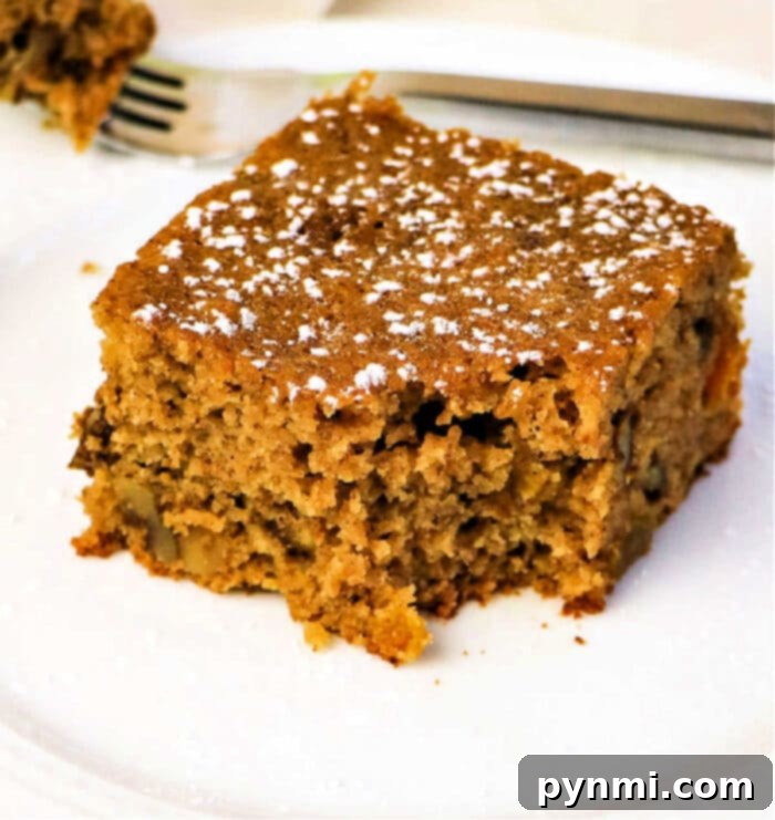 Autumn Spiced Apple Cake 8 Applesauce Spice Cake recipe ready to be served